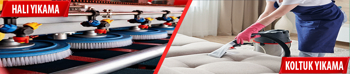 bursahaliyikamaalt bursahaliyikamaalt